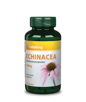 Echinacea Extract