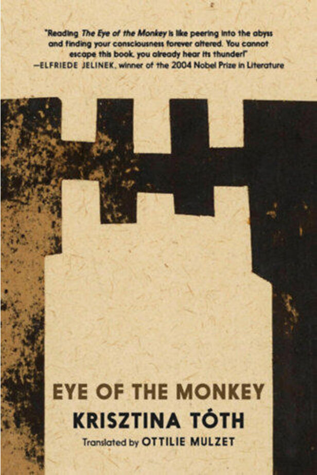 Eye of the monkey